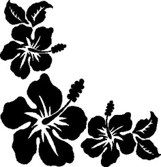 Hawaiian party