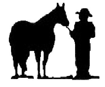 KSK Quarter Horses - Free Horse Clipart