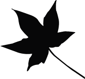 Maple Leaf Stencils