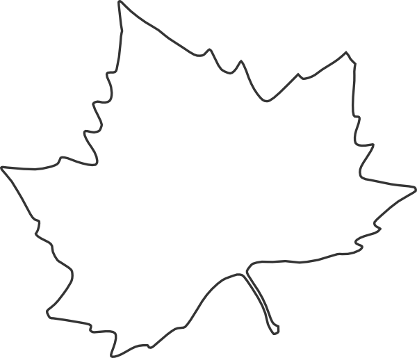 Blank Leaf Template