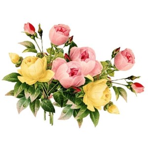 free faux vintage flower scrapbooking frame Blumenrahmen png ...