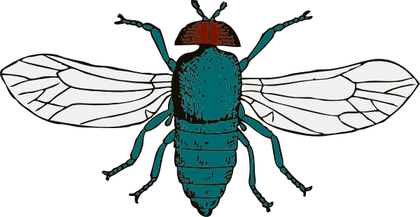Cartoon flies clipart
