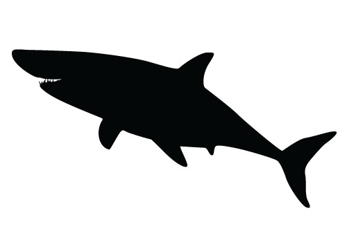 Shark Silhouette | Free Download Clip Art | Free Clip Art | on ...