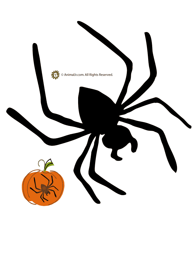 Spider Pumpkin Template - Woo! Jr. Kids Activities