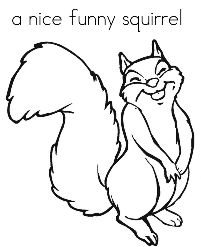 Cute Squirrel Drawing - Drawing Art Library