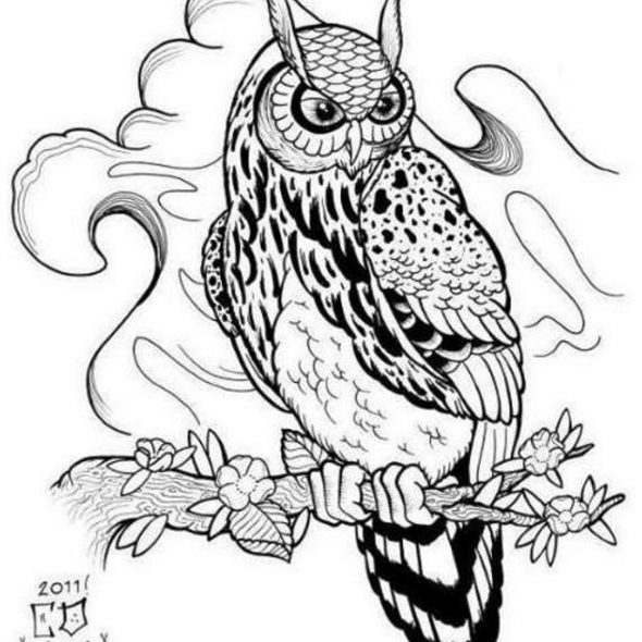 Owl Tattoo Designs Drawings - ClipArt Best