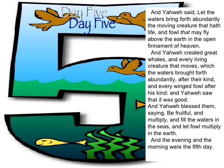 7 days of creation
