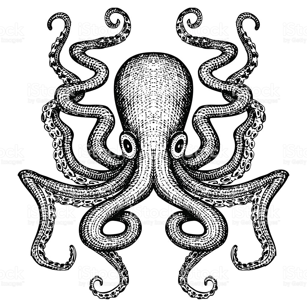 Octopus Clip Art, Vector Images & Illustrations