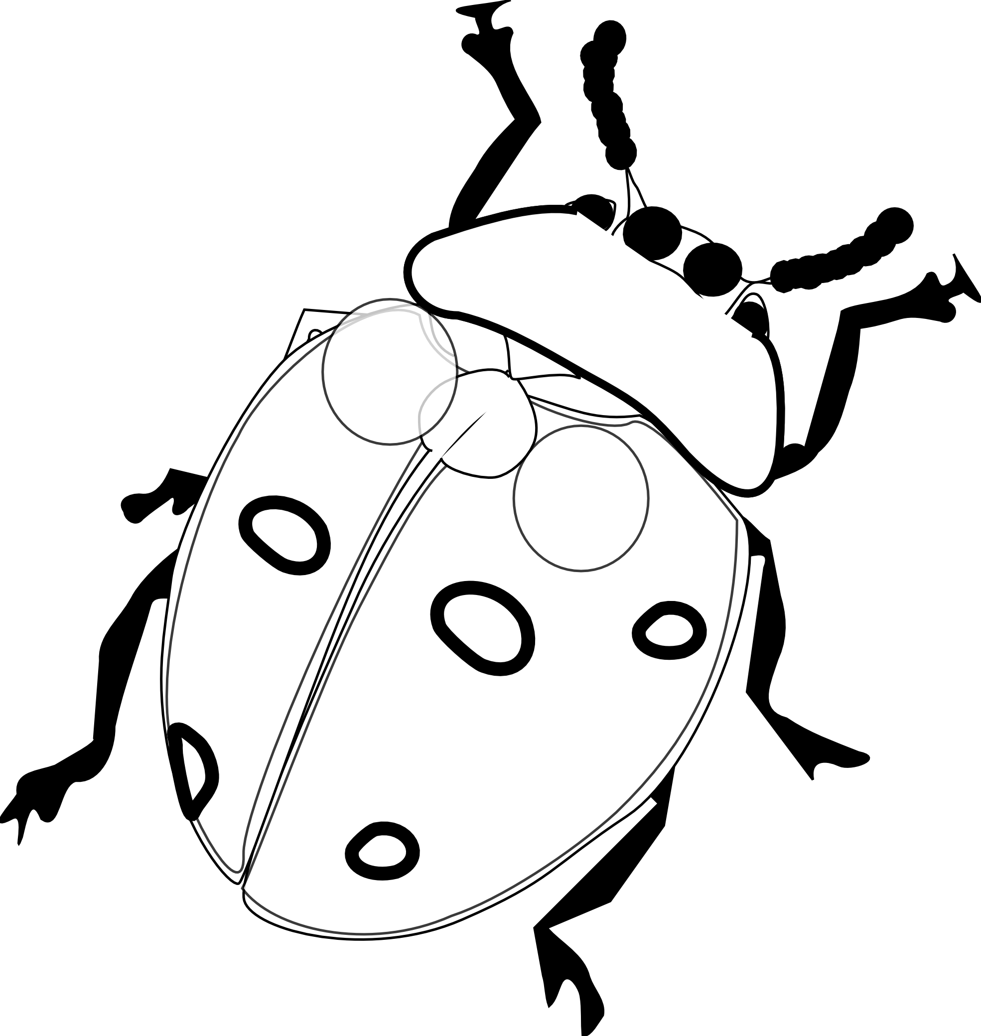 Ladybird Line Drawings - ClipArt Best