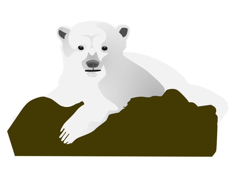Nosie Bears