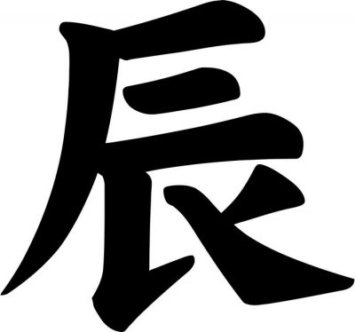 Japanese Kanji Zodiac Dragon Tatsu Vinyl Decal Sticker