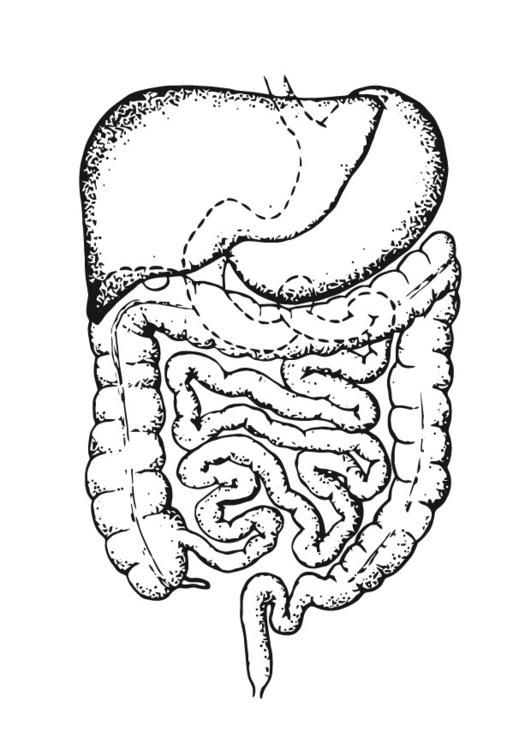 Free coloring sheets, Coloring pages and Free coloring