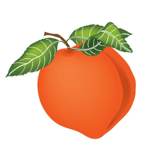 Peach clip art free clipart images 4 - Clipartix