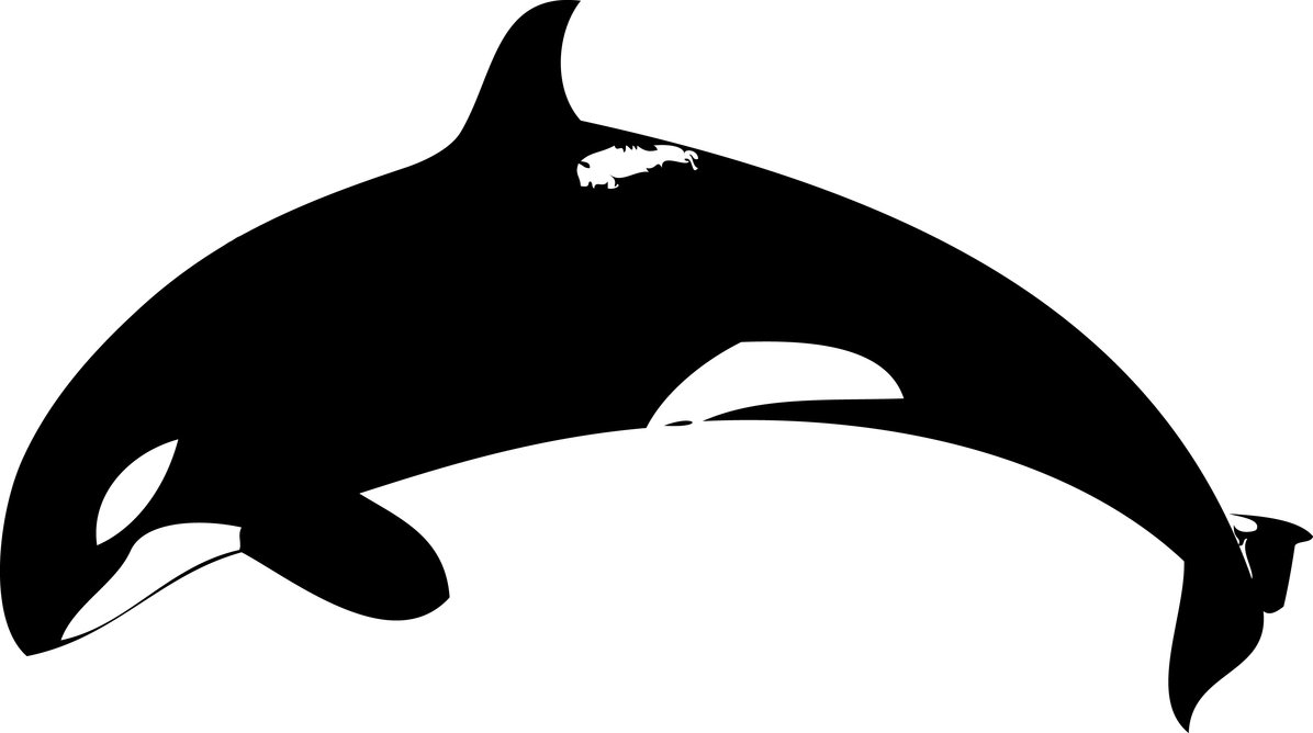 Killer Whale Clipart - Tumundografico