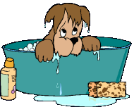 Cute little puppy dog animated gif loops