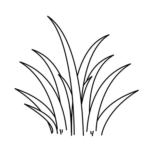 Free Printable Coloring Pages - Part 3