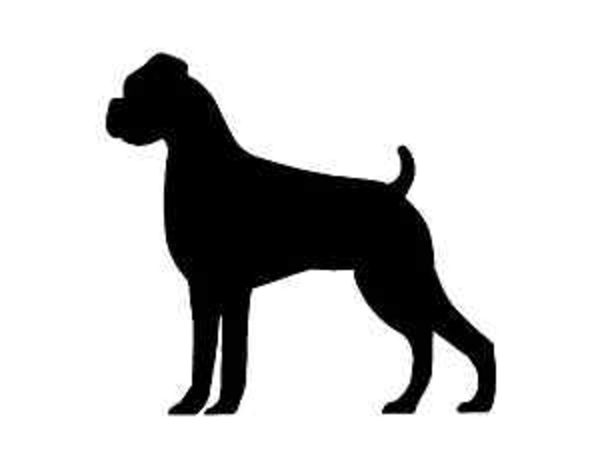Boxer Dog Clipart