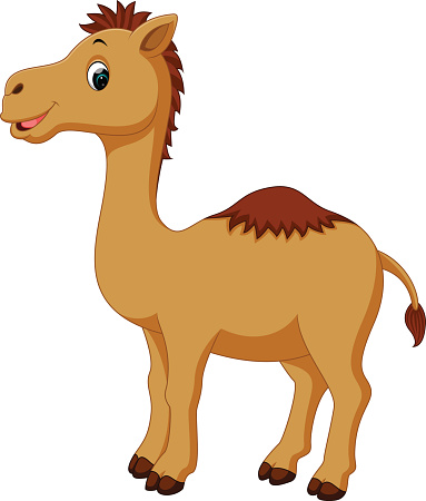 Cartoon Of Animal Camel Camels Desert Face Clip Art, Vector Images ...