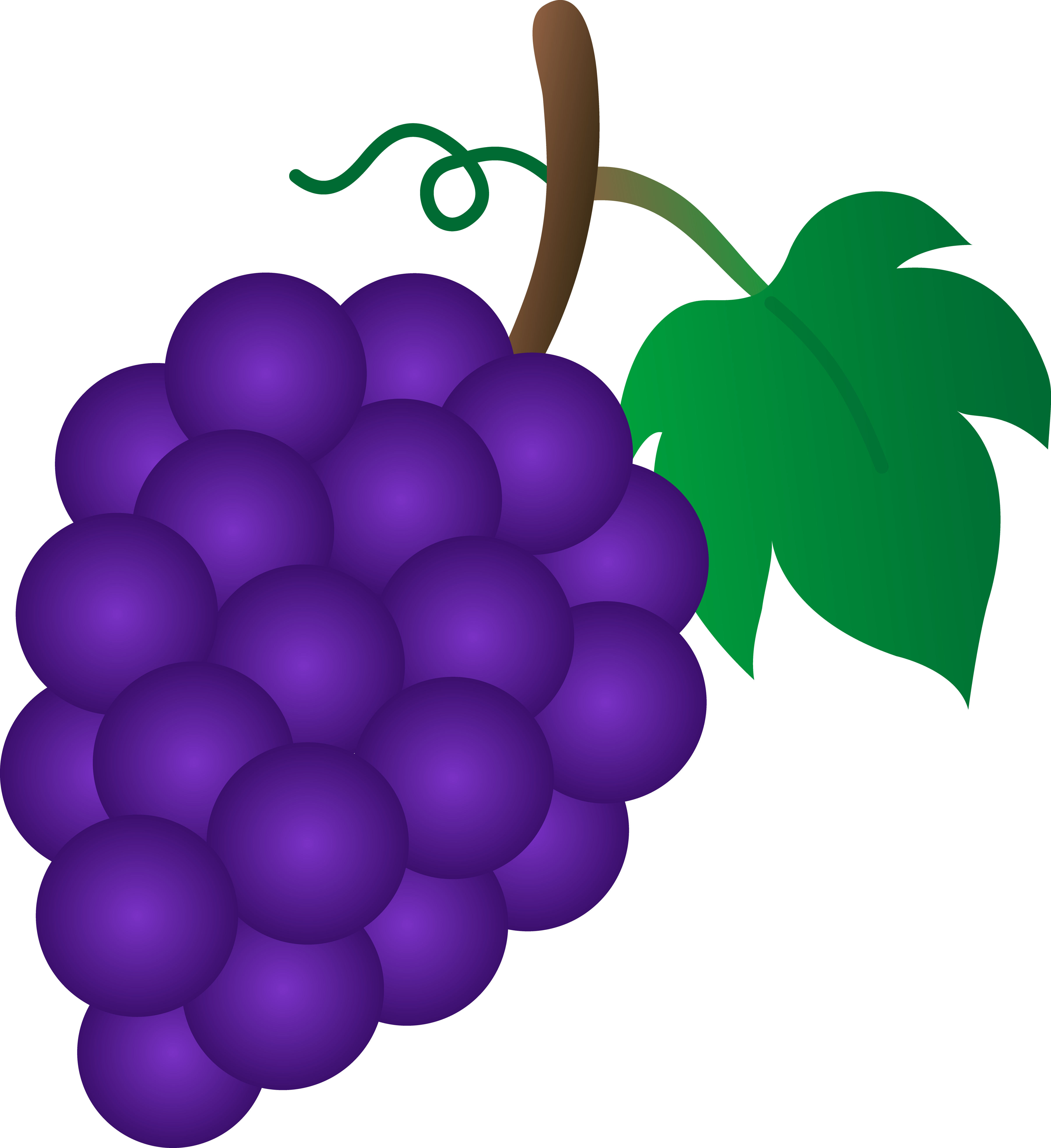 Purple Clip Art