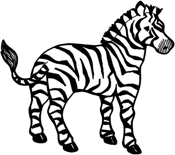 Simple Free Coloring Pages Of Zebra Stripes - Free Coloring Sheets