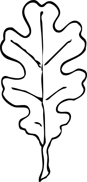 Acorn Outline Clipart