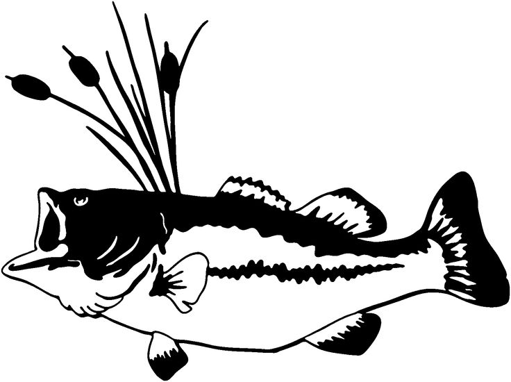 1000+ images about Fishing Decals | Decals, Window ...
