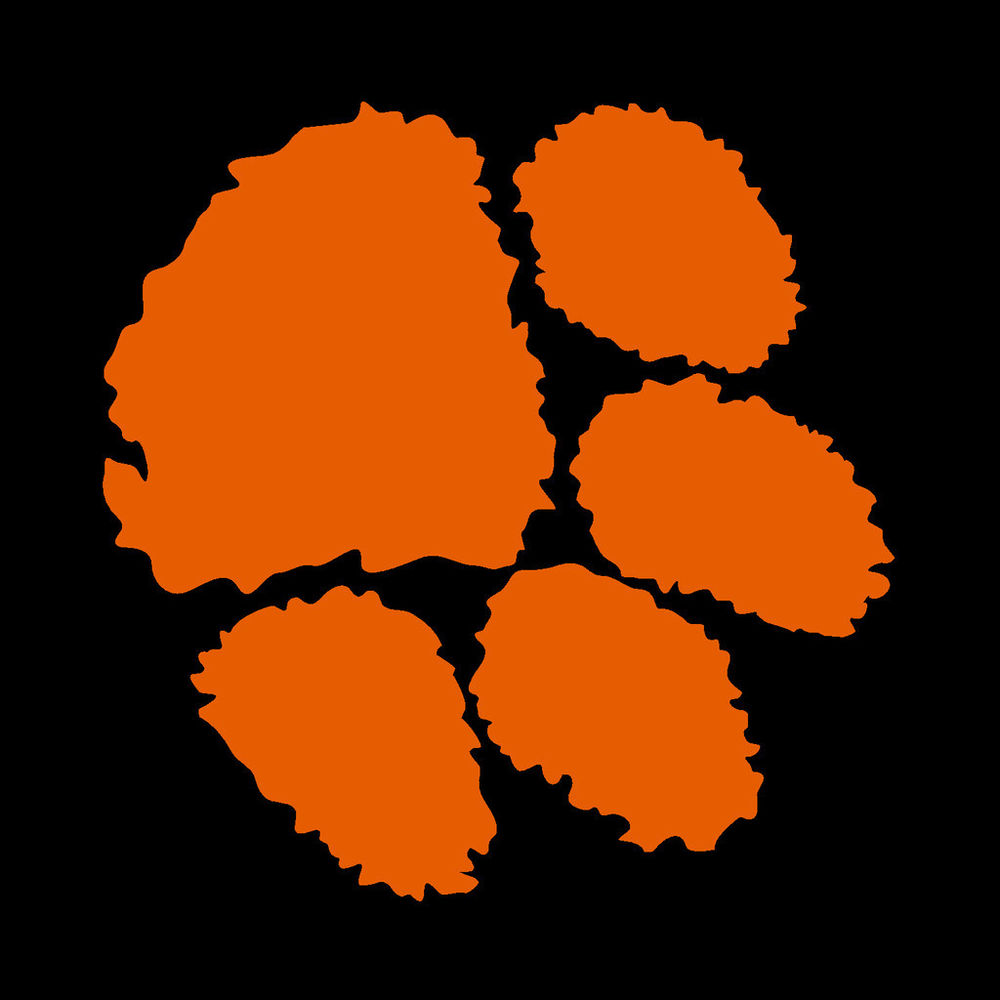 Best Photos of Tiger Paw Print Numbers - Black Tiger Paw Print ...