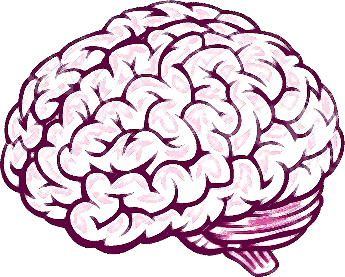 Brain download. Мозг рисунок. Векторный мозг. Мозг рисовать.