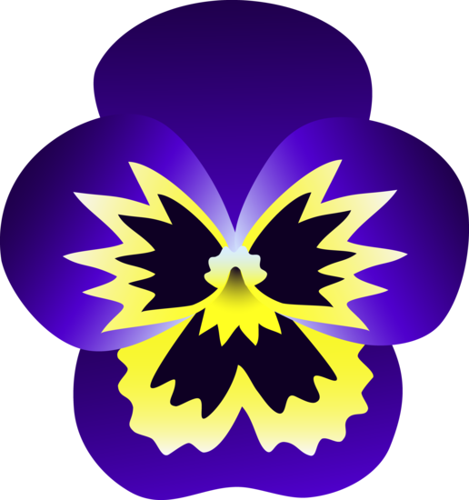 1000+ images about Pansies