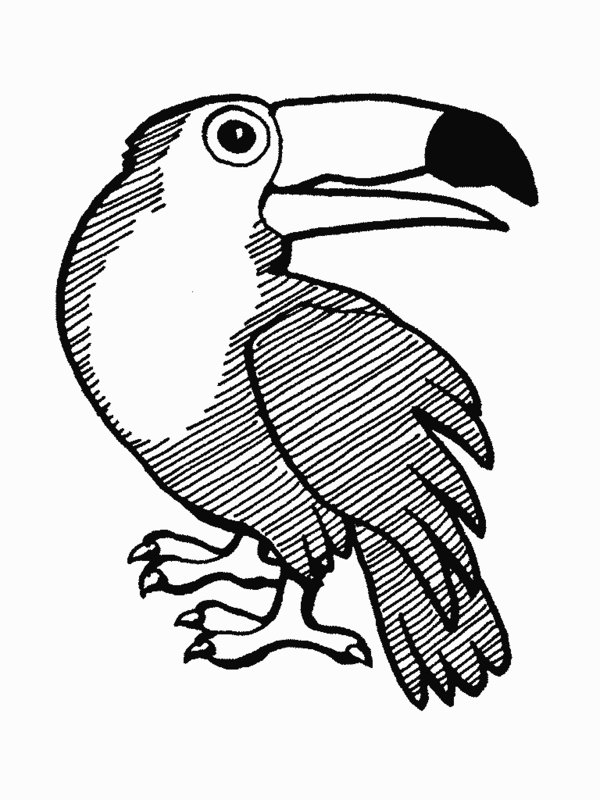 Coloring pages, Trees and Jungle tree