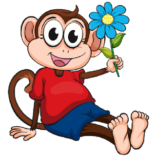 Funny Monkey's - Monkey Images