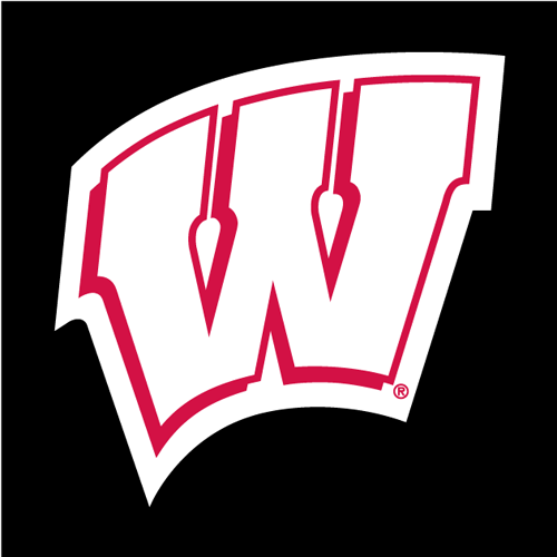 Wisconsin Badgers Logo Clipart