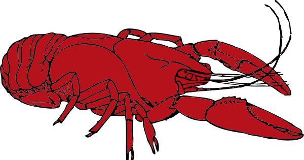 Crawfish - ClipArt Best