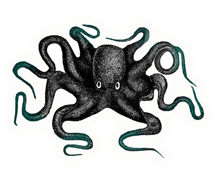 Octopus Tattoo Designs - ClipArt Best