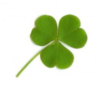 Clover Leaf