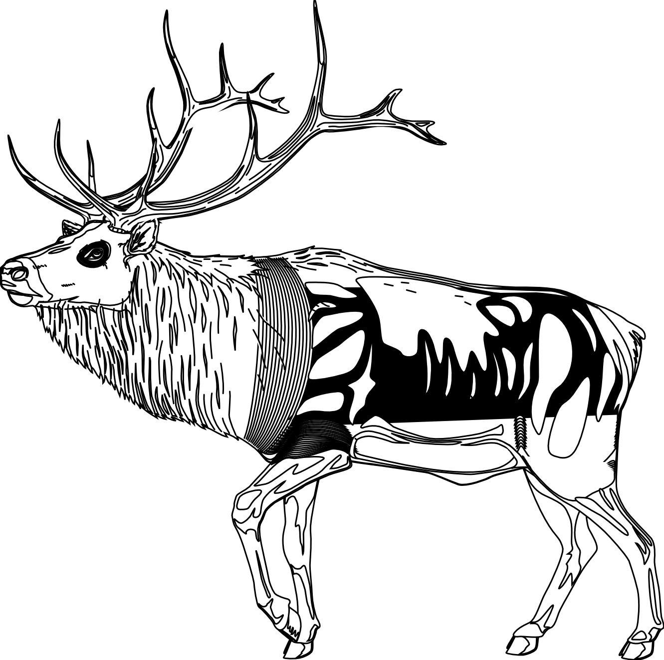 reindeer raindeer animal 4 black white line art ...