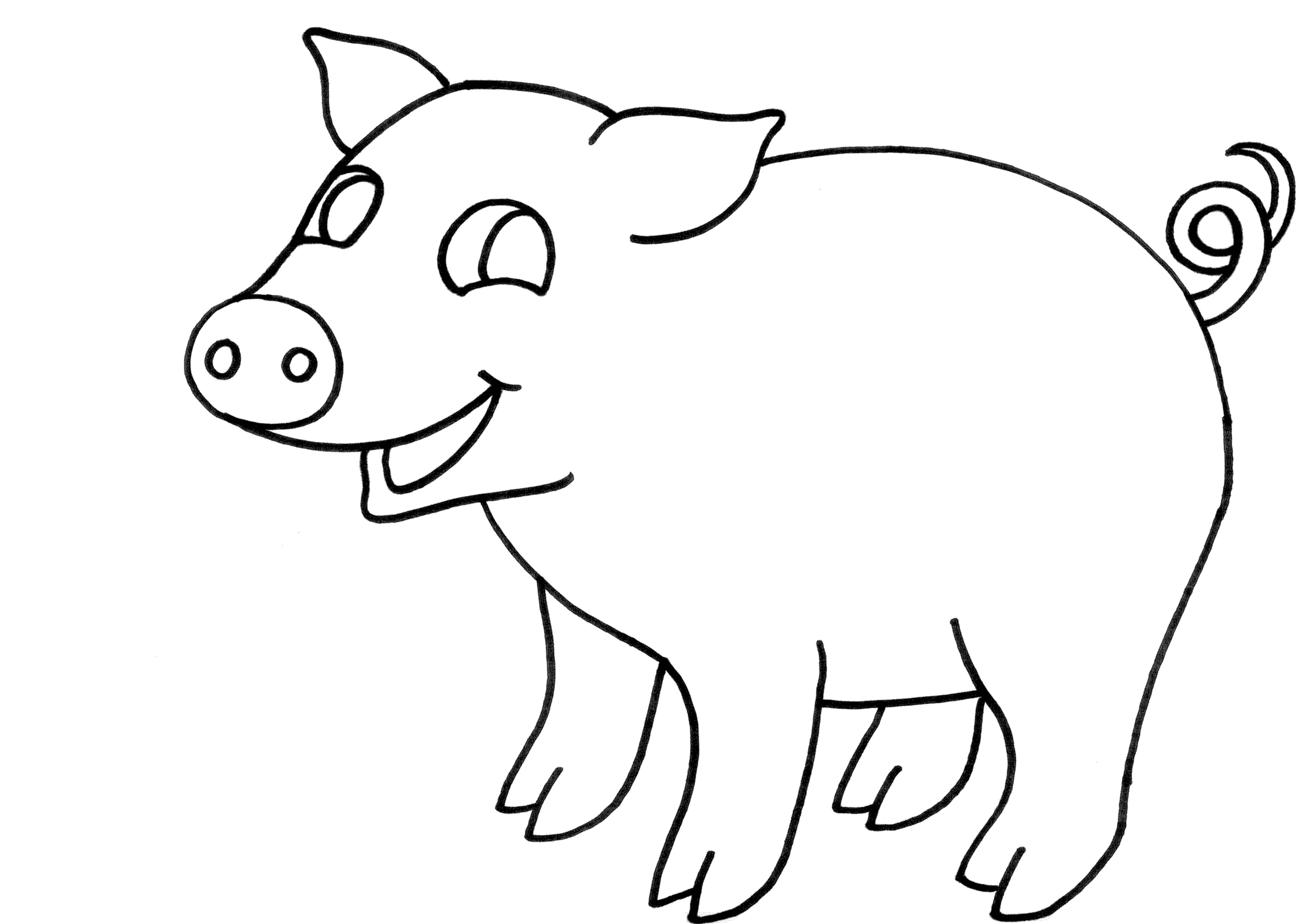 Coloring Pig
