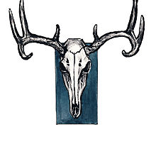 Deer Skull: Art, Design & Photography | Redbubble