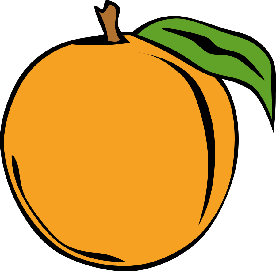 Fruits clipart vector