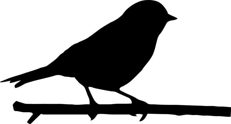 Bird silhouette clipart png