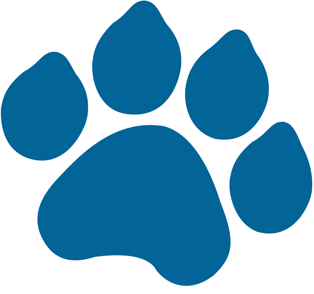 My pet is missing – what do i do? | The Pet Detective Bureau