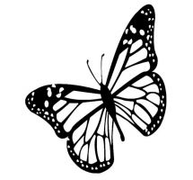 Butterfly monarch black and white clipart