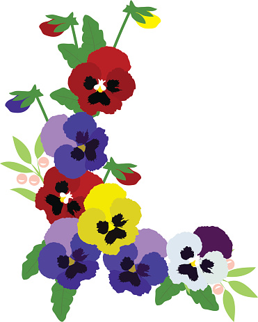 Pansy Clip Art, Vector Images & Illustrations