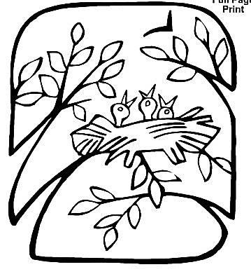 Free Spring Coloring Sheets for Kids