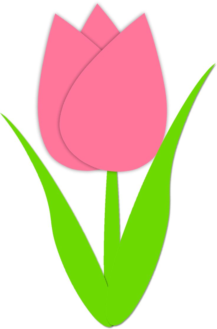 Tulip and Simple
