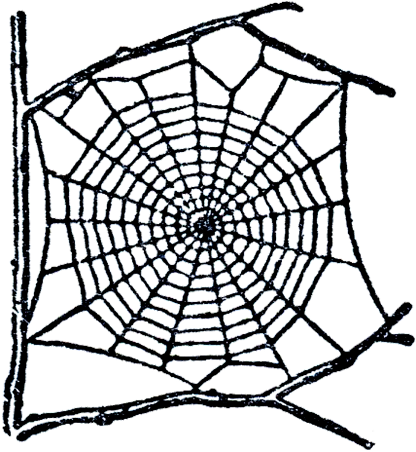 Corner Spider Web Clipart - Free Clipart Images