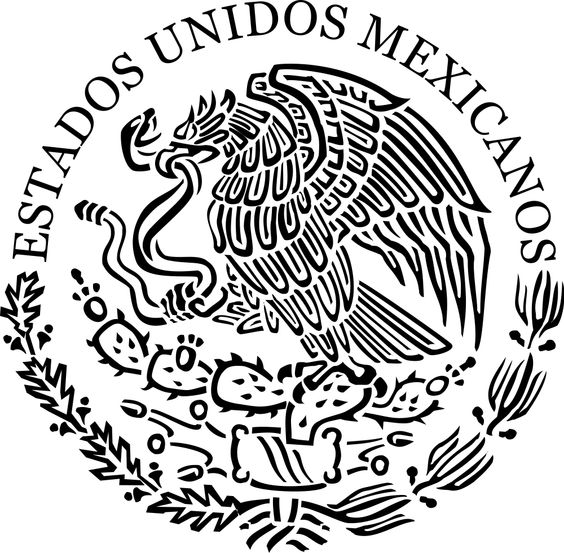Flags, Mexicans and Search
