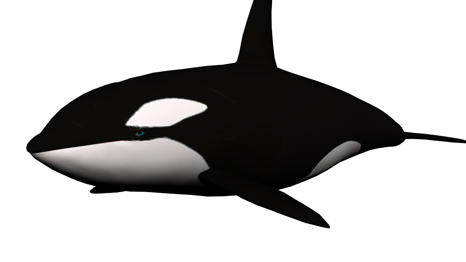 Shamu Cartoon | Free Download Clip Art | Free Clip Art | on ...