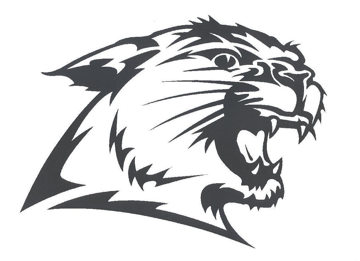 Wildcats Logo