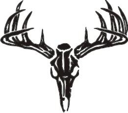 deer_head_05__75744.jpg